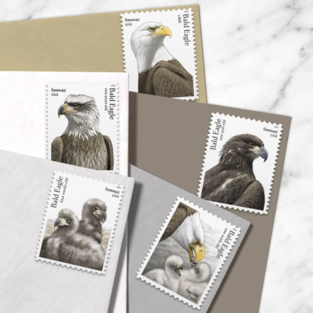 (2026) Bald Eagle: Hatchling to Adult Forever Stamps, Sheet of 20